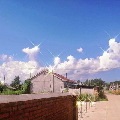 超神格斗杀破狼下载手机版